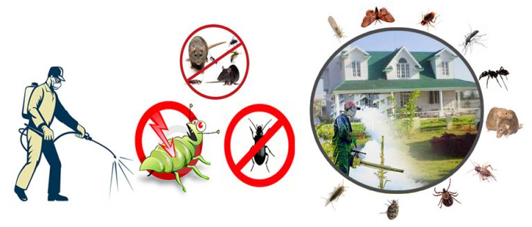 Types of methods used for pest control
